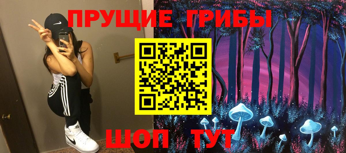 Галлюциногенные грибы Psilocybe  Вход с VPN  Фрязино 